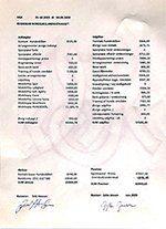 Hent regnskab 2019-2020