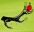 link