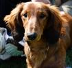 20080512.10_45_3099.jpg