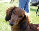 20080512.10_46_0799.jpg