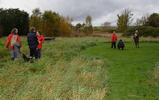 20081016.17_25_5545.jpg
