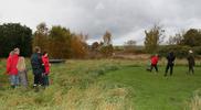 20081016.17_26_0546.jpg