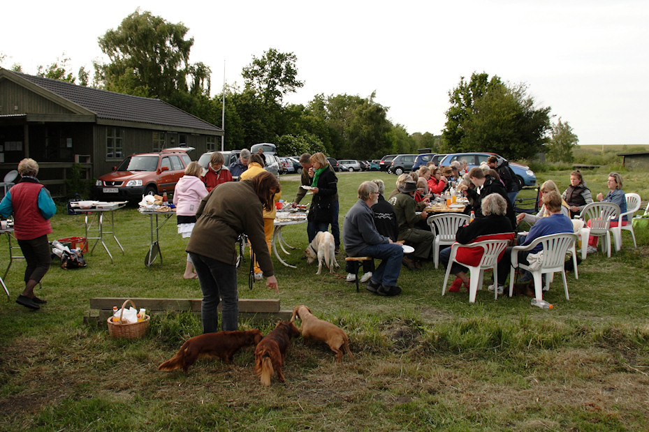 Sommerfest