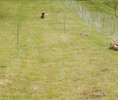 2009_06_21.11_10_41.0056.jpg