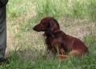 2009_06_21.11_55_04.0075.jpg