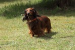 2009_06_21.12_13_53.0106.jpg