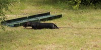 2009_06_21.15_19_00.0147.jpg