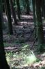 2009_09_12_09_38_52.0250.jpg