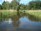 20100819__11-26-19_001.jpg