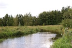 20100819__15-14-31_007.jpg