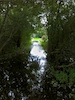20100824__15-50-10_002.jpg