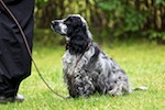 20100911_008.jpg