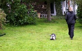 20100911_009.jpg