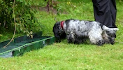 20100911_012.jpg