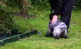 20100911_013.jpg