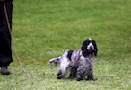 20100911_019.jpg