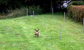 20100911_025.jpg