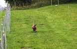 20100911_026.jpg