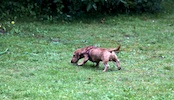 20100911_035.jpg