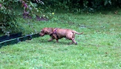 20100911_036.jpg