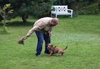 20100911_038.jpg