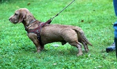 20100911_040.jpg