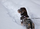 20101128_001.jpg