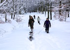 20101128_002.jpg