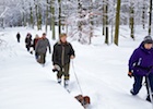 20101128_003.jpg
