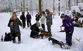 20101128_005.jpg
