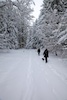20101128_006.jpg