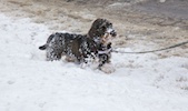 20101128_008.jpg