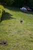 20110515_004.jpg