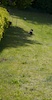 20110515_005.jpg