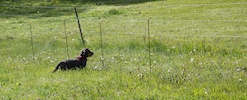 20110515_006.jpg