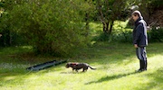 20110515_012.jpg