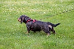 20110515_014.jpg