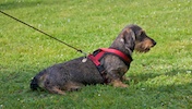 20110515_021.jpg