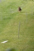 20110515_022.jpg