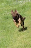 20110515_023.jpg