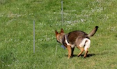 20110515_024.jpg