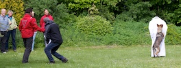20110515_030.jpg