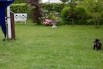20110515_036.jpg