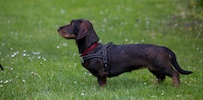 20110515_038.jpg