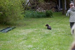 20110515_039.jpg