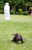 20110515_040.jpg