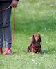 20110515_046.jpg