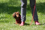 20110515_047.jpg