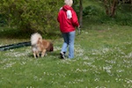 20110515_048.jpg
