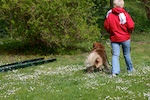 20110515_049.jpg